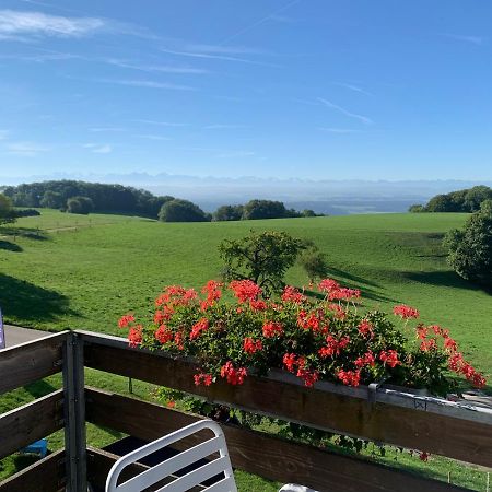 Hotel Restaurant Alpenblick Wolfisberg Eksteriør billede